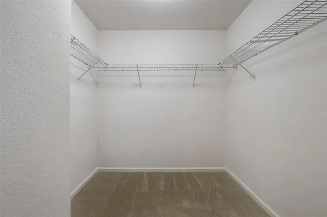 a view of field with grass and trees