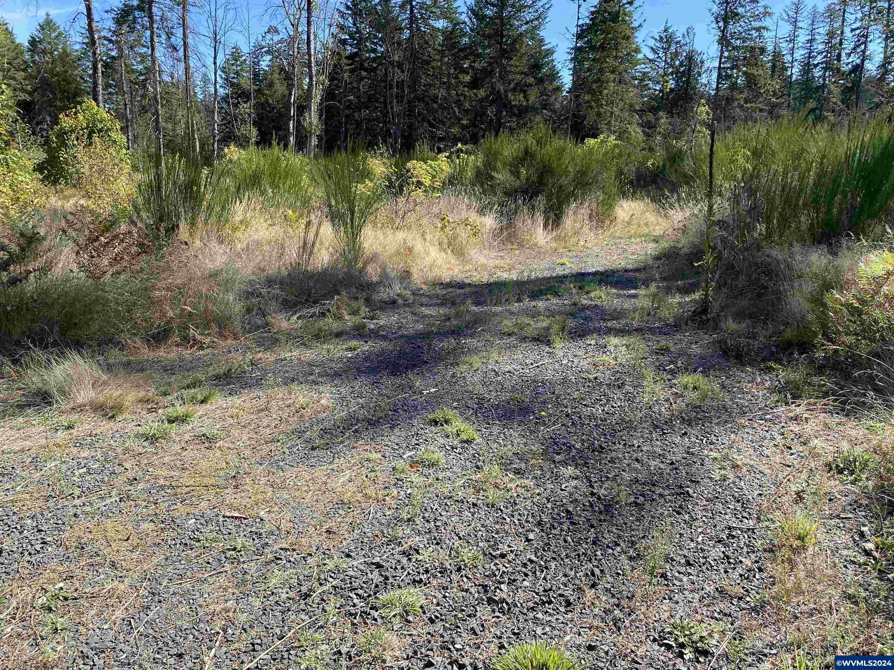 23545 North Fork Road Lyons, OR 97358 - Photo 9 of 16