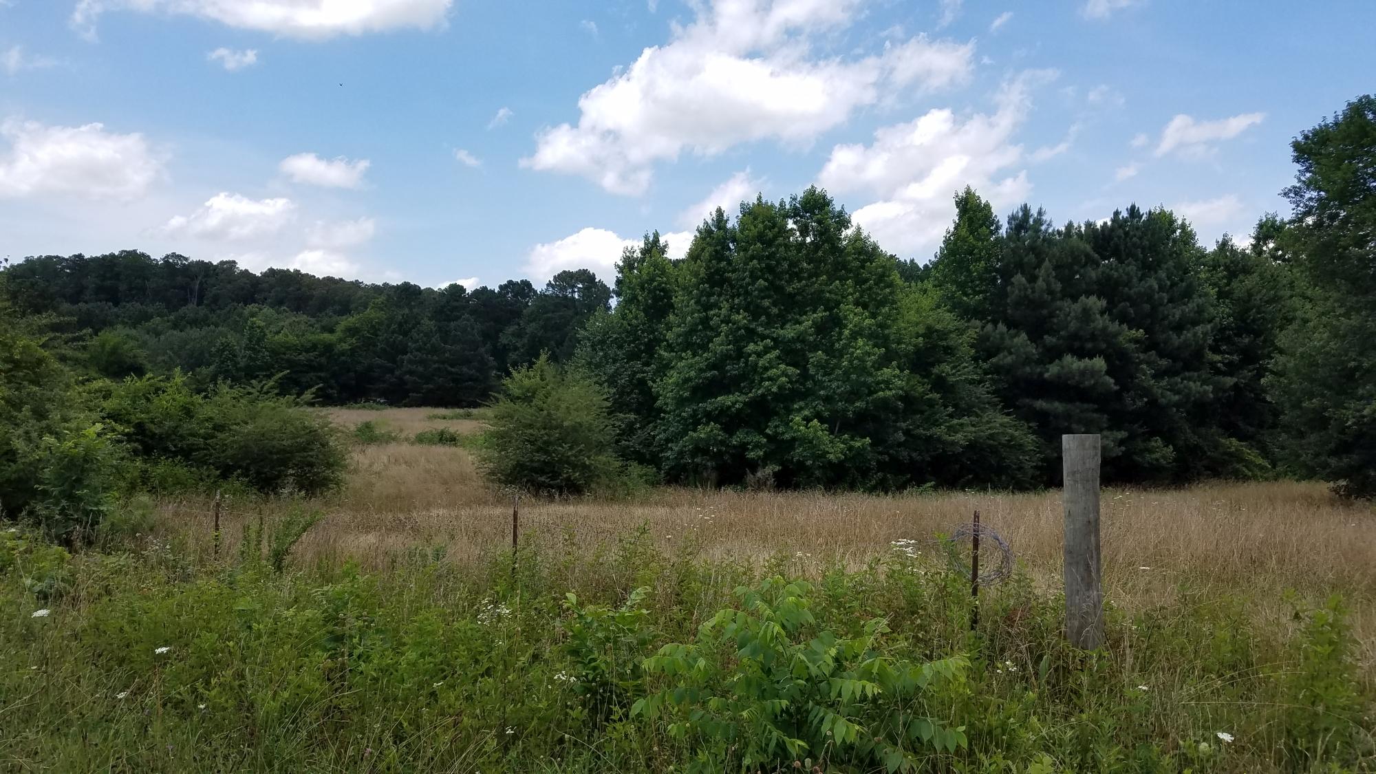 0 Glass Road LaFayette, GA 30728 - Photo 1 of 16 20190621_143005