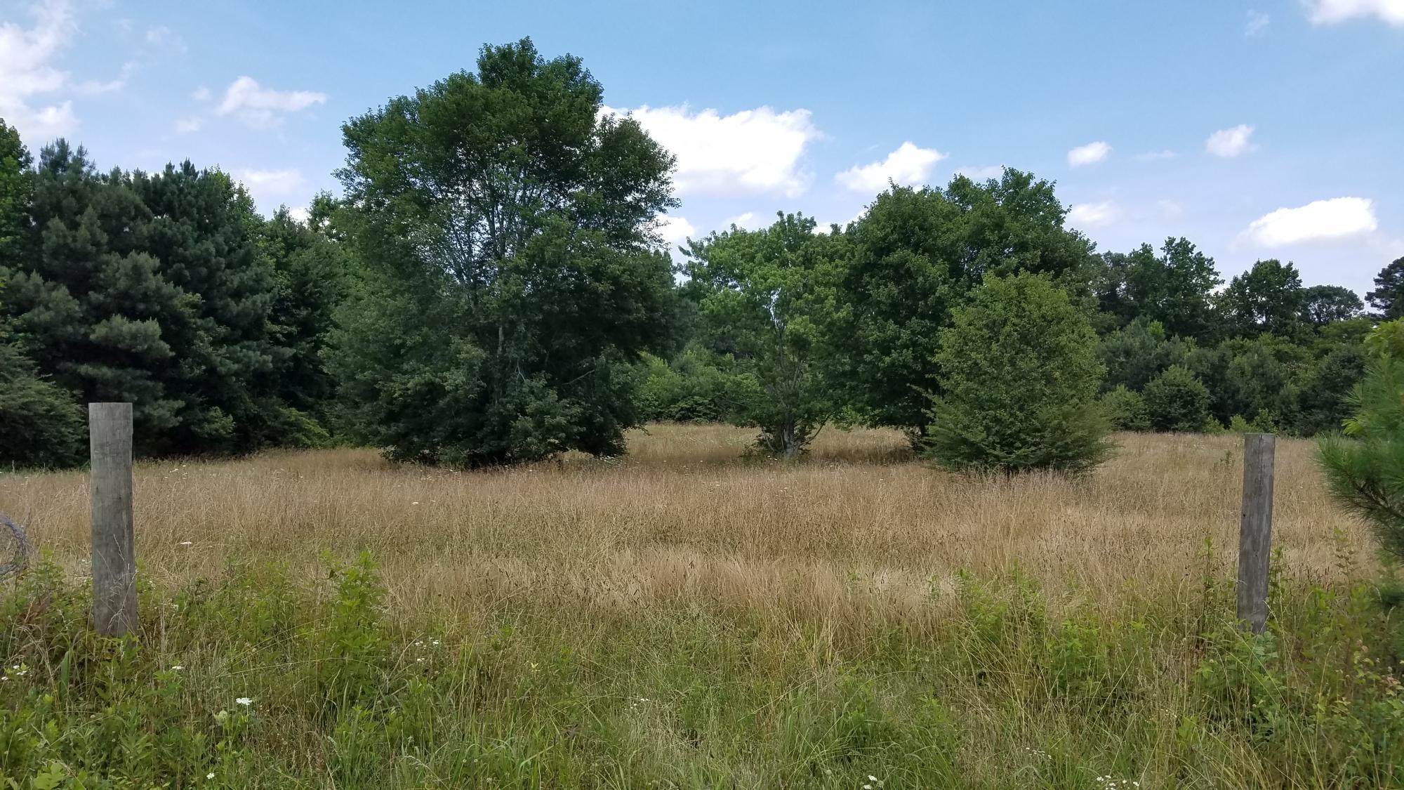 0 Glass Road LaFayette, GA 30728 - Photo 2 of 16 20190621_143010