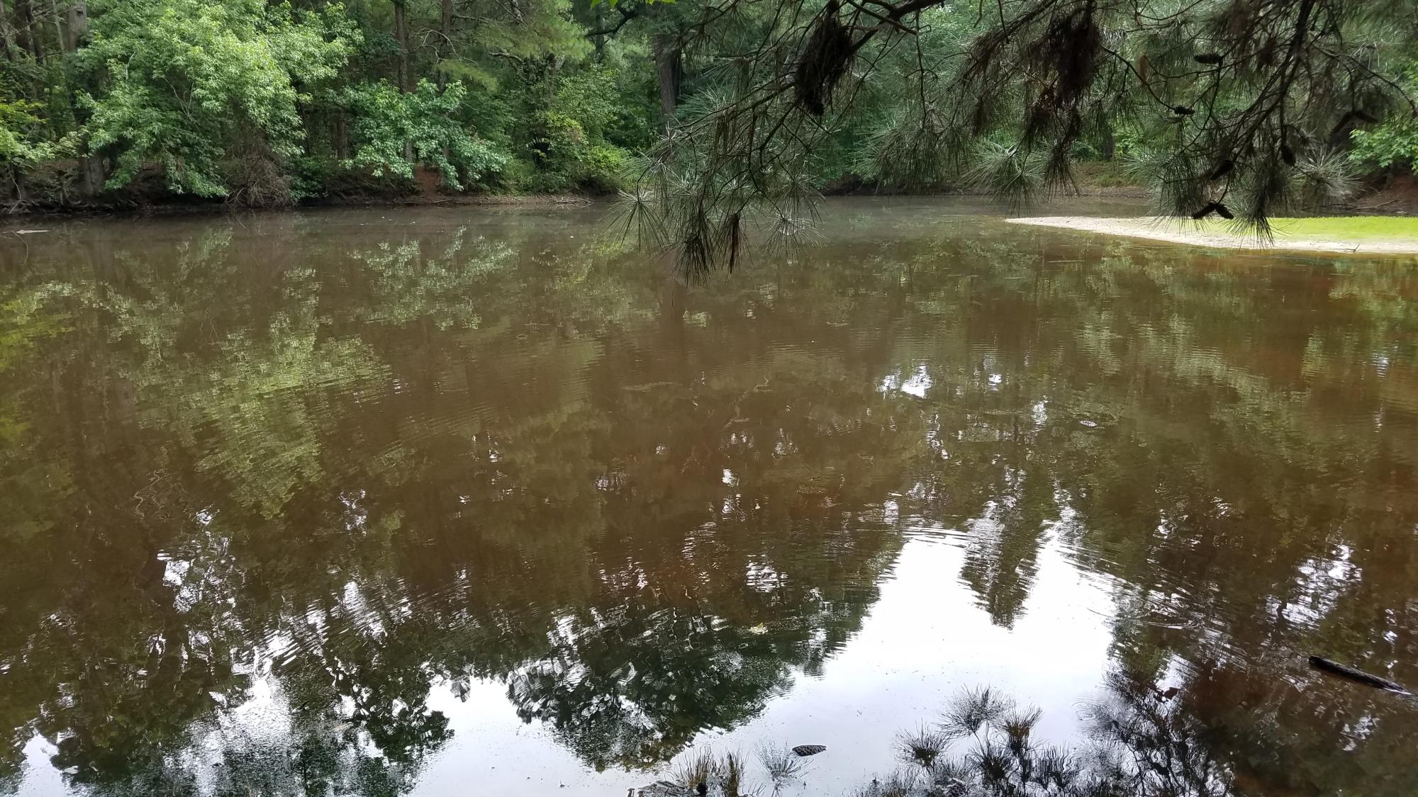 0 Glass Road LaFayette, GA 30728 - Photo 11 of 16 20190626_152128