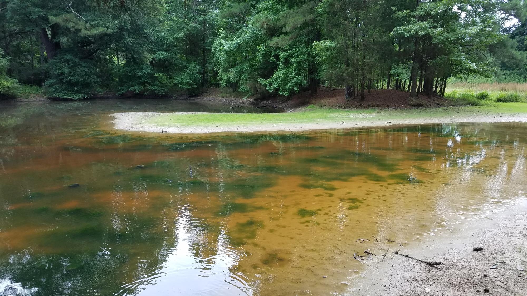0 Glass Road LaFayette, GA 30728 - Photo 12 of 16 20190626_152106