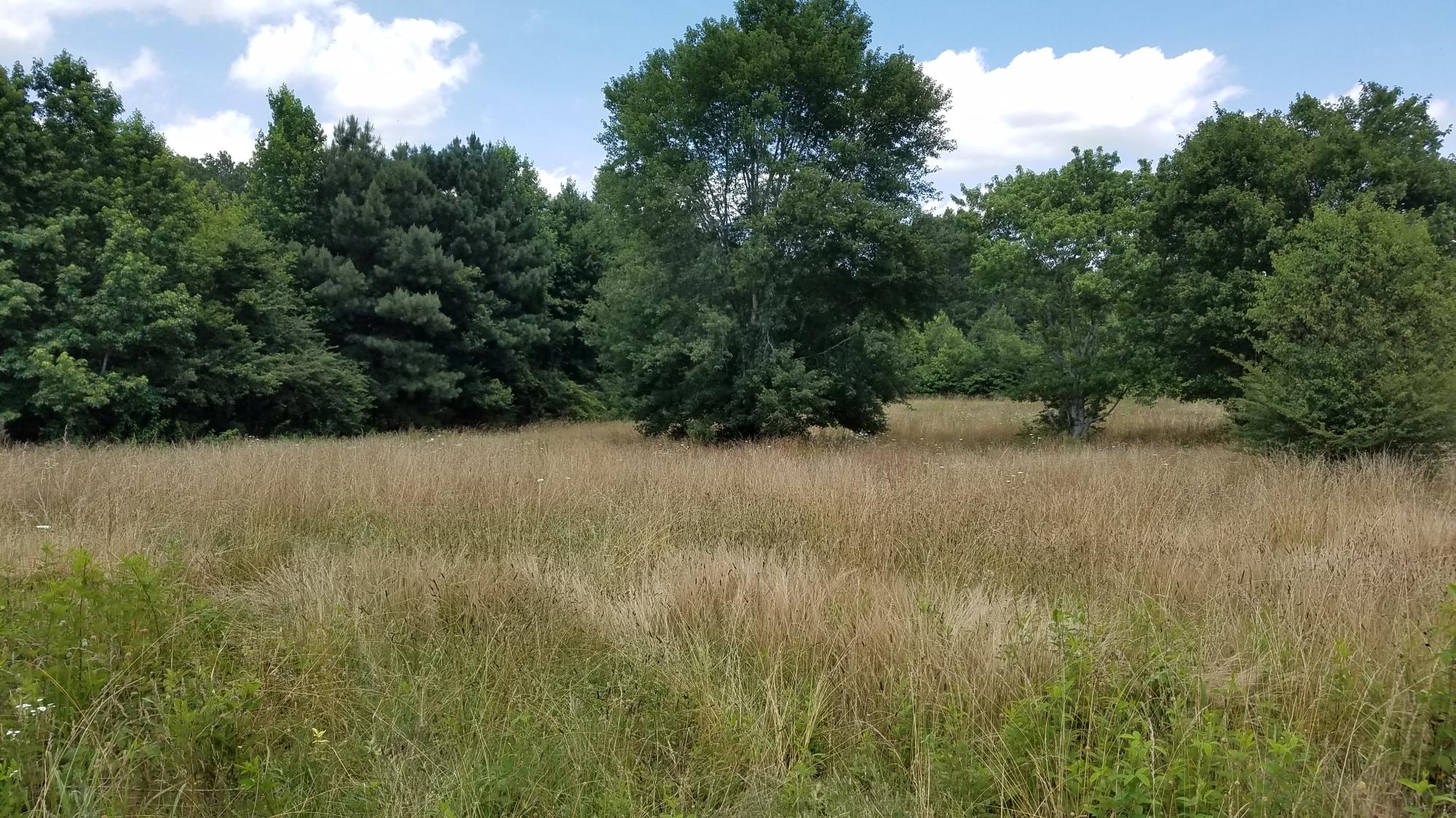 0 Glass Road LaFayette, GA 30728 - Photo 3 of 16 20190621_143127