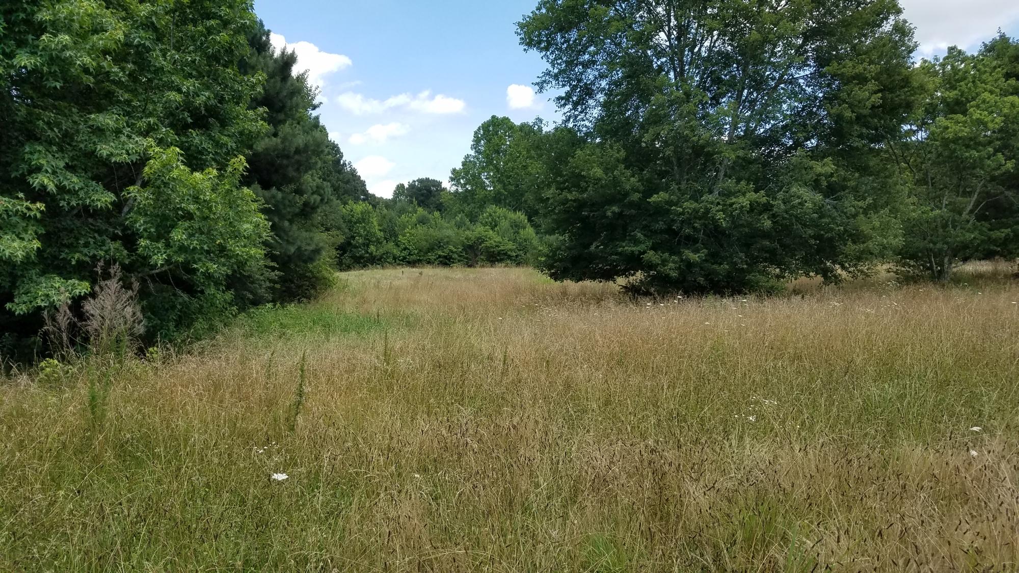 0 Glass Road LaFayette, GA 30728 - Photo 4 of 16 20190621_143206
