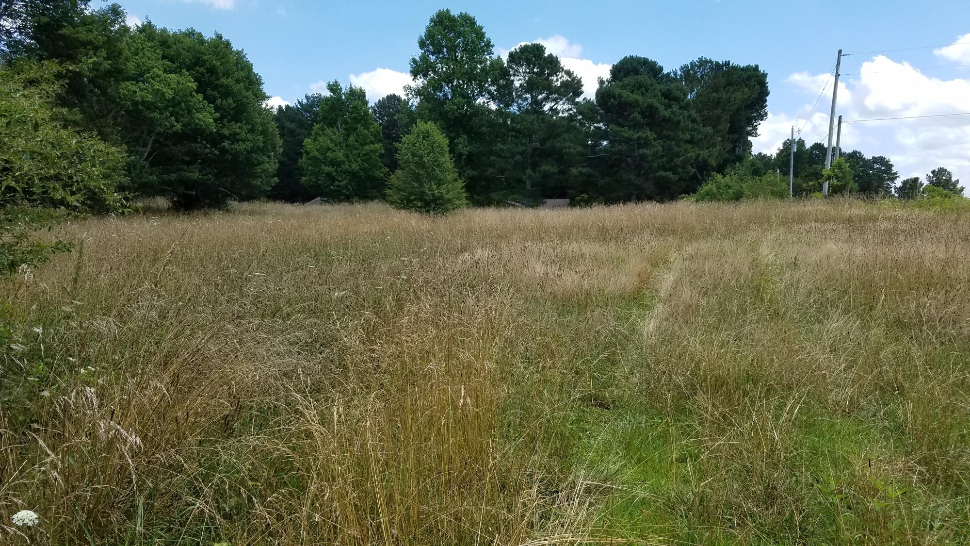 0 Glass Road LaFayette, GA 30728 - Photo 5 of 16 20190621_143215