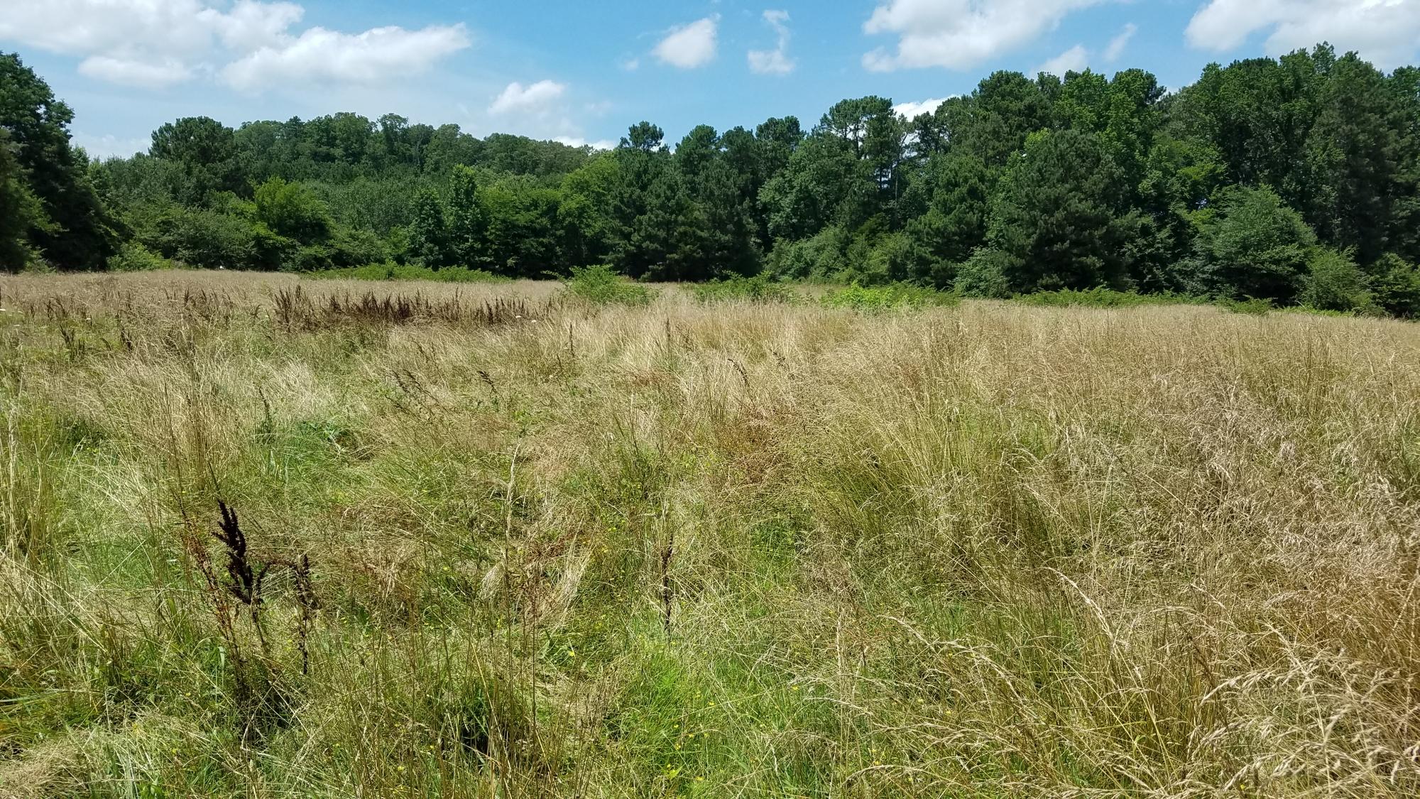 0 Glass Road LaFayette, GA 30728 - Photo 6 of 16 20190621_143223