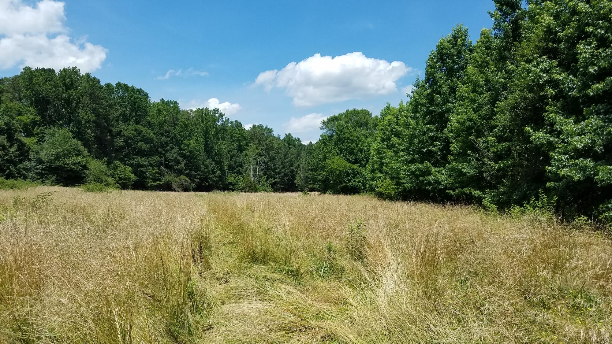 0 Glass Road LaFayette, GA 30728 - Photo 7 of 16 20190621_143249