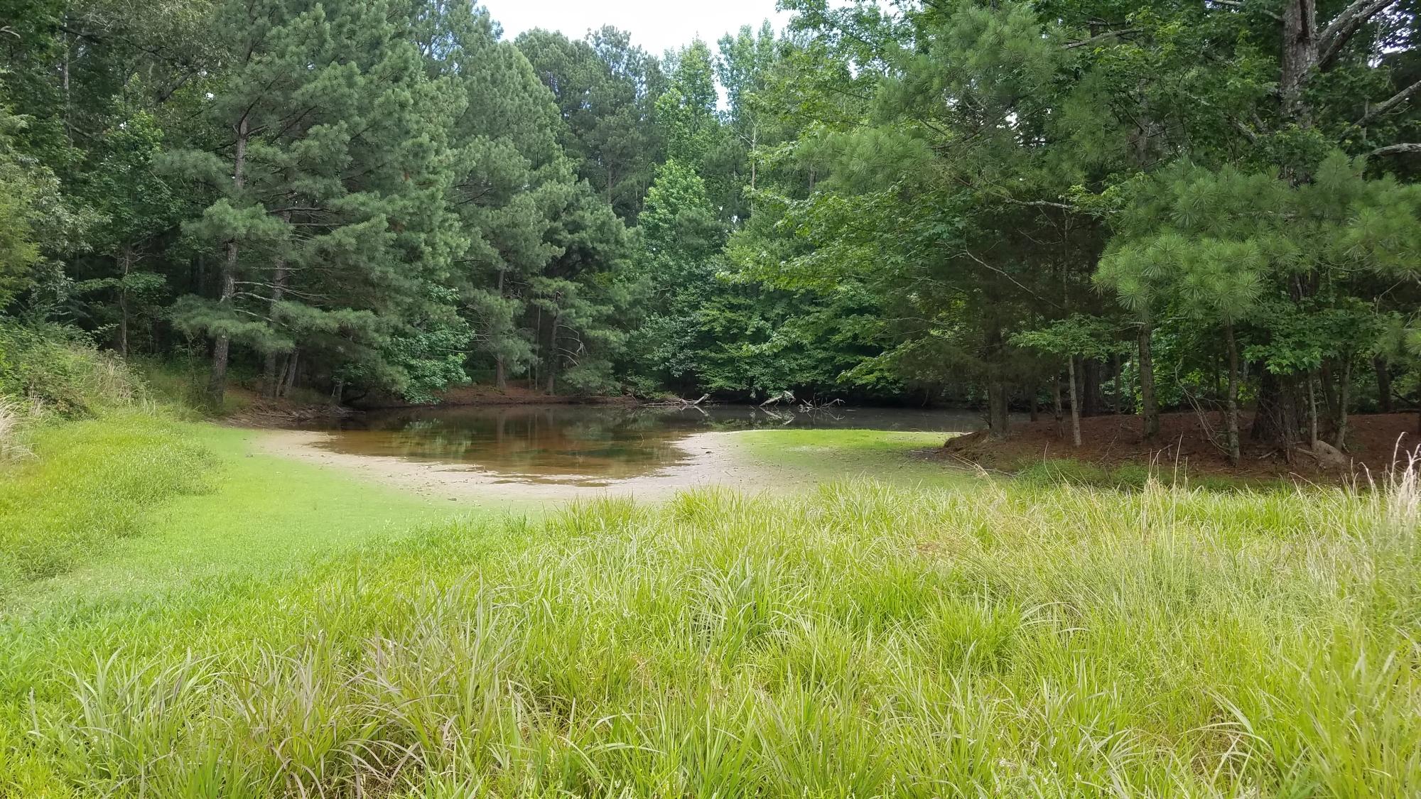 0 Glass Road LaFayette, GA 30728 - Photo 8 of 16 20190626_151944