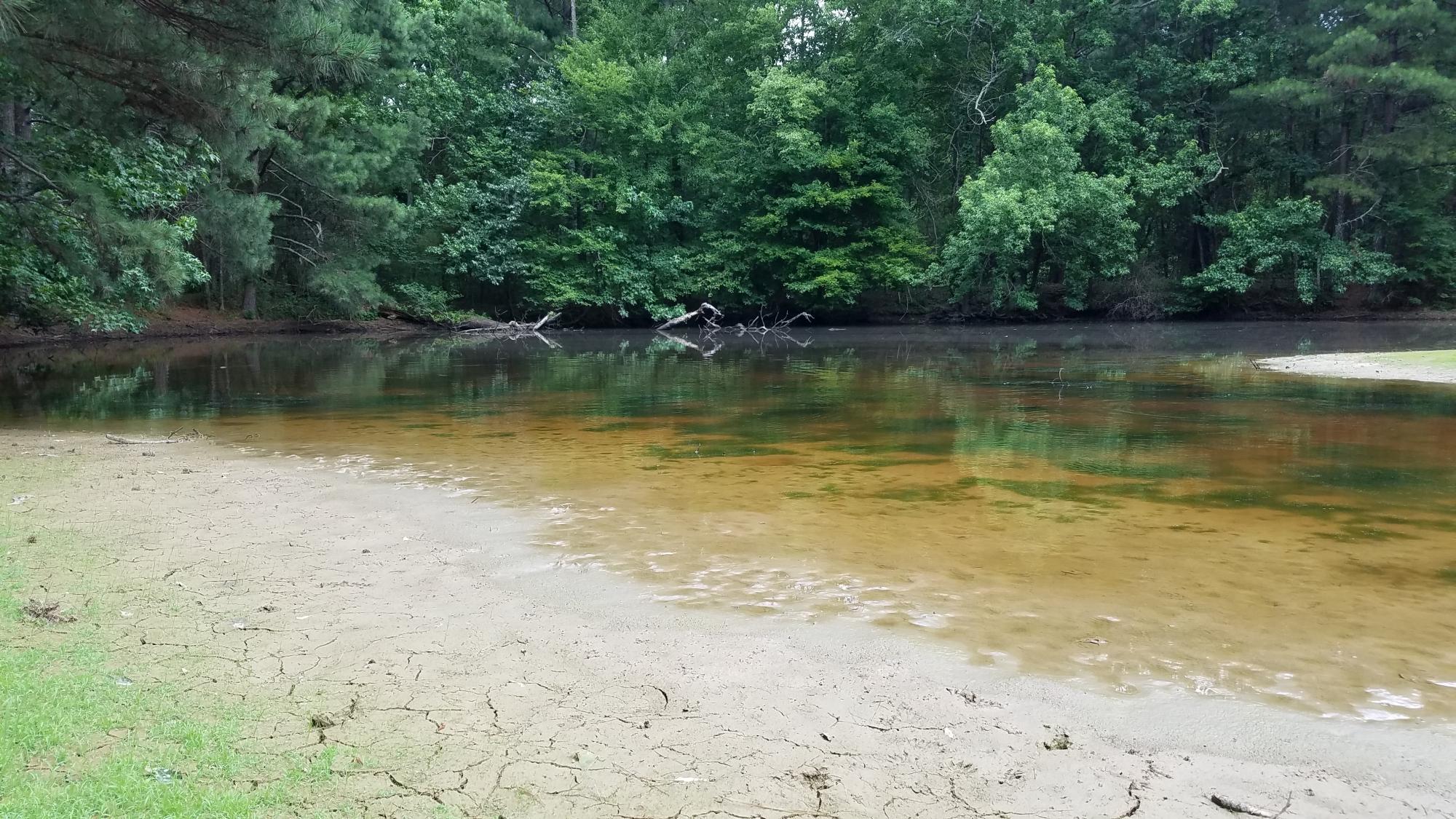 0 Glass Road LaFayette, GA 30728 - Photo 9 of 16 20190626_152037
