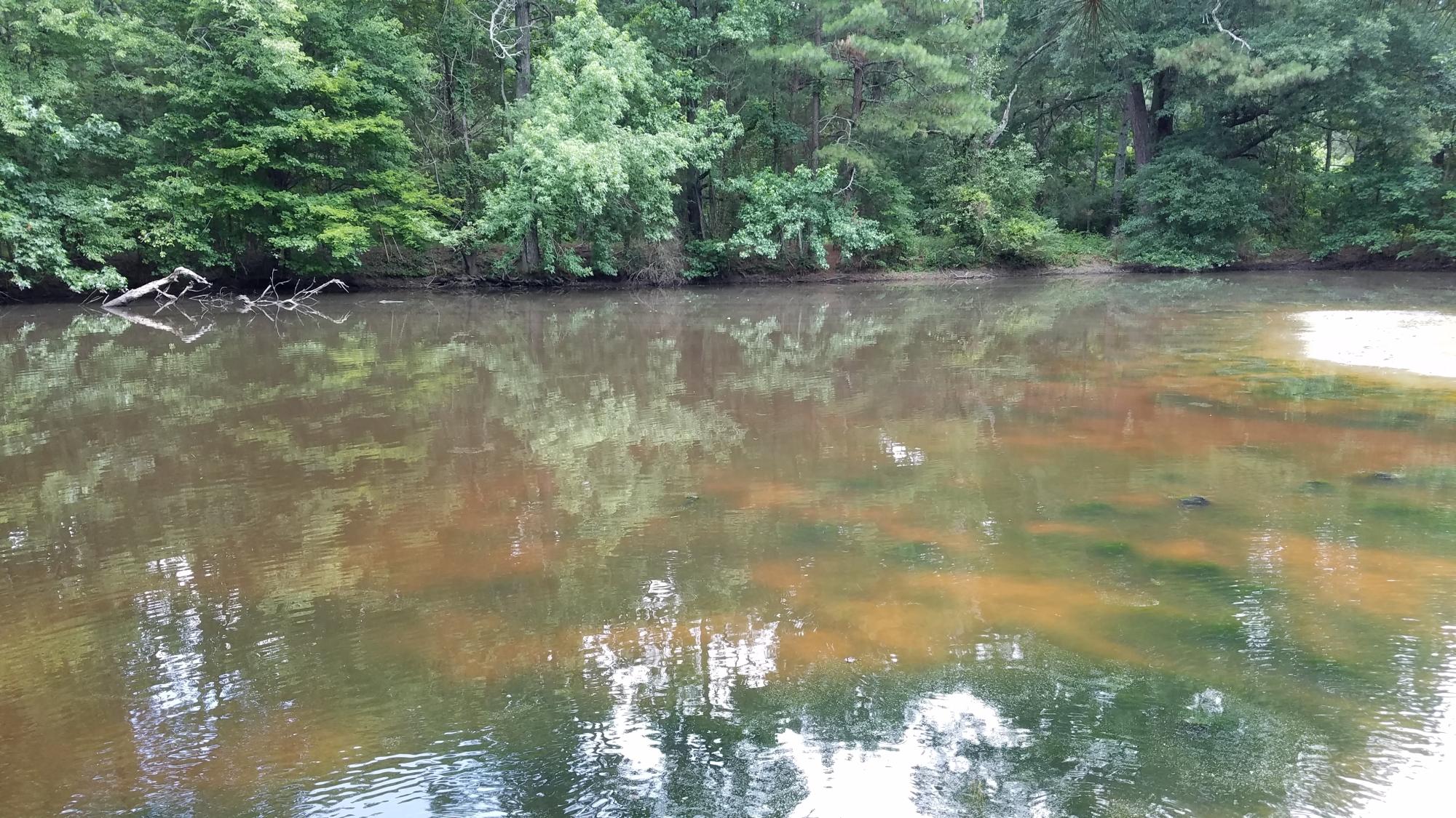 0 Glass Road LaFayette, GA 30728 - Photo 10 of 16 20190626_152102