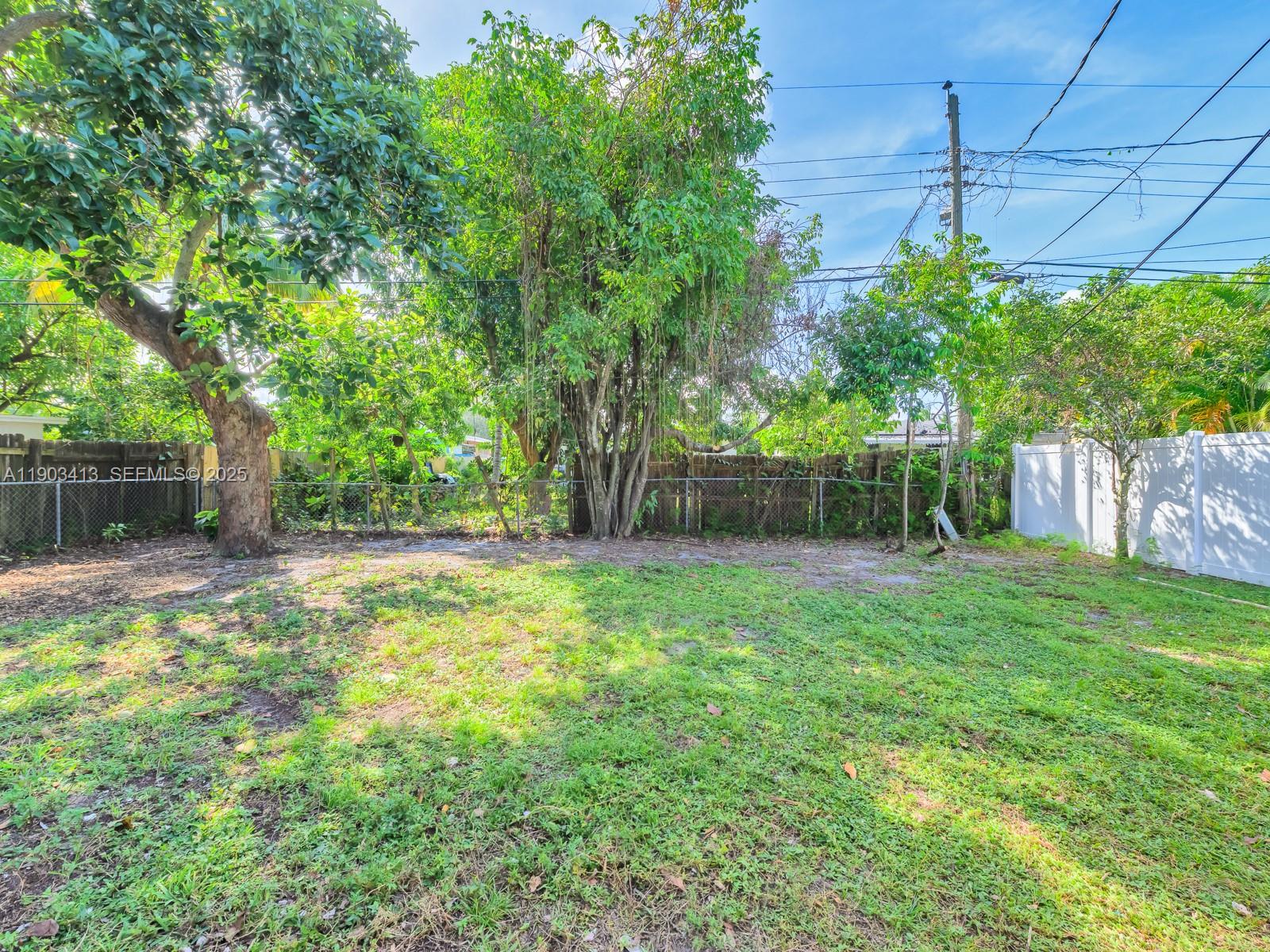 6238 Southwest 24th Street Miramar, FL 33023 - Photo 26 of 33 a view of a yard with a tree