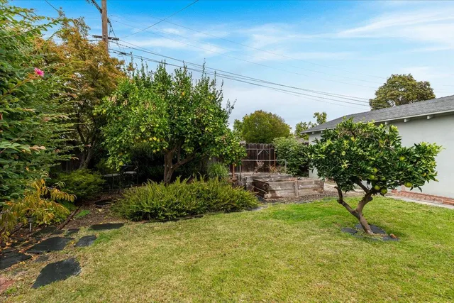 a view of a backyard