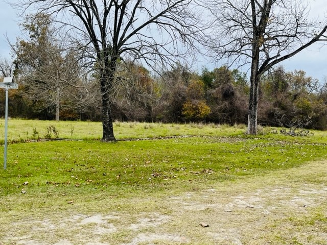 Lot 305 Trinity Drive Cleveland, TX 77327 - Photo 2 of 11 a view of yard with tree