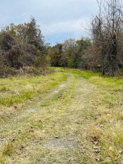 Lot 305 Trinity Drive Cleveland, TX 77327 - Photo 4 of 11 a view of a yard with an outdoor space