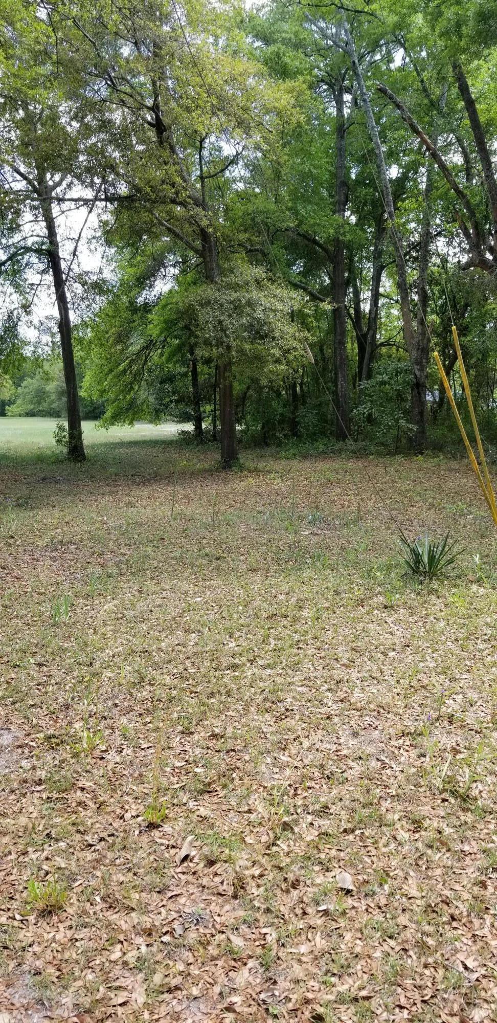 0 Rabb Walterboro, SC 29488 - Photo 7 of 8 20250409_135727