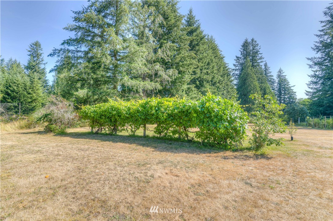 11209 Littlerock Road Southwest Olympia, WA 98512 - Photo 33 of 36 Gallery Image 33