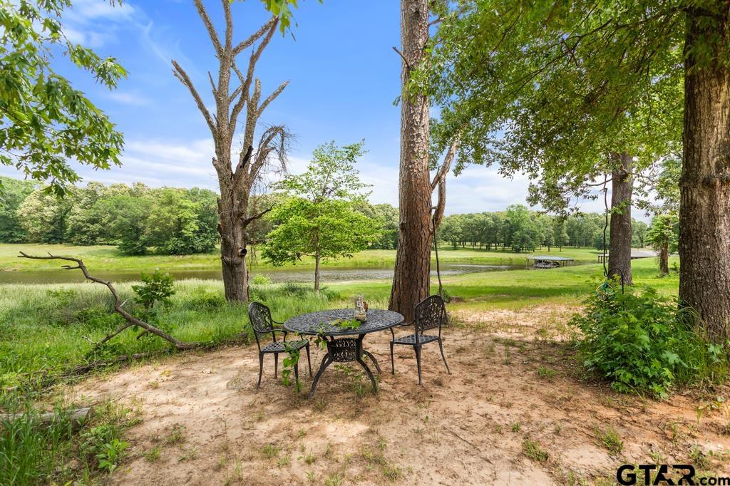 15767 County Road 285 Tyler, TX 75707 - Photo 39 of 44 a view of a lake with a yard