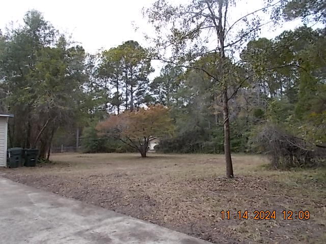 115 Fernleaf Street Moncks Corner, SC 29461 - Photo 18 of 20 DSCN5988