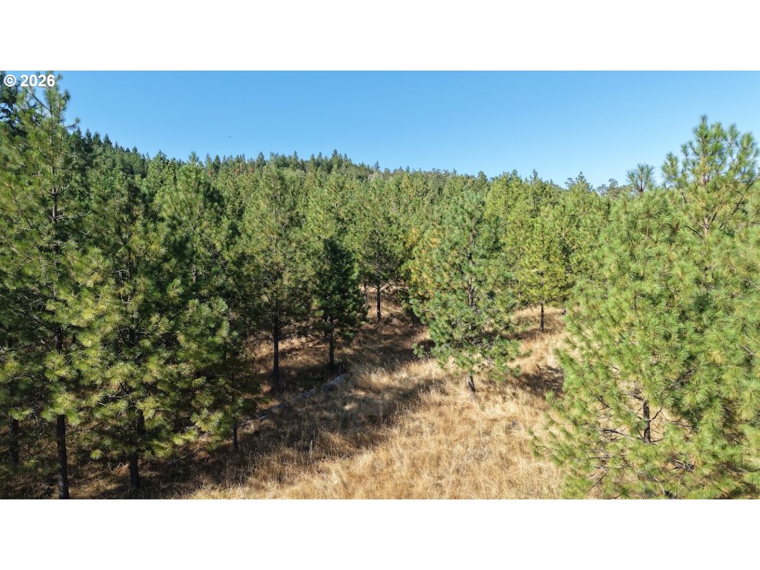 801 Colonial Road Roseburg, OR 97471 - Photo 14 of 34 Gallery Image 14