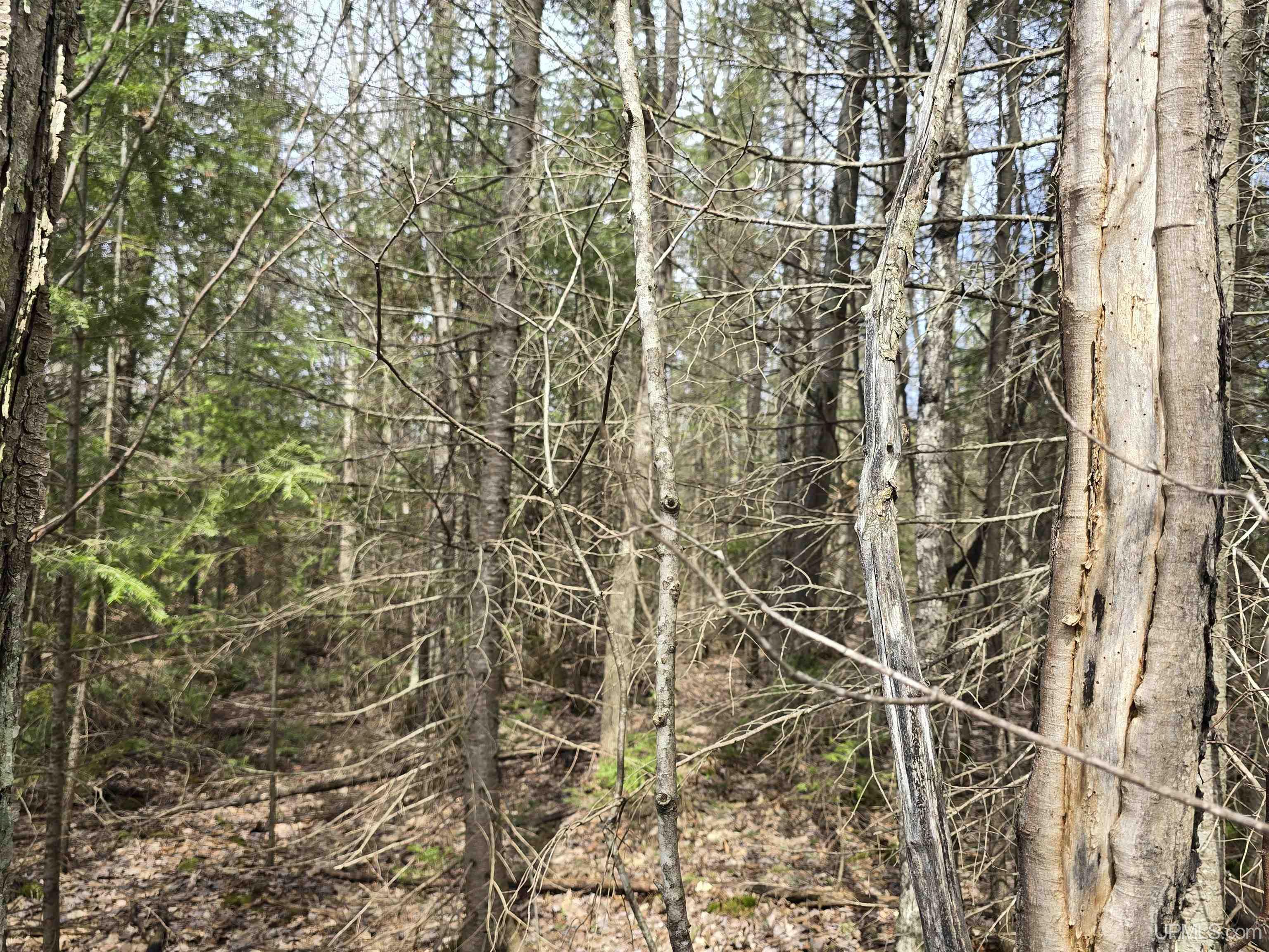 Tbd Woodspur Road Ontonagon, MI 49953 - Photo 39 of 46