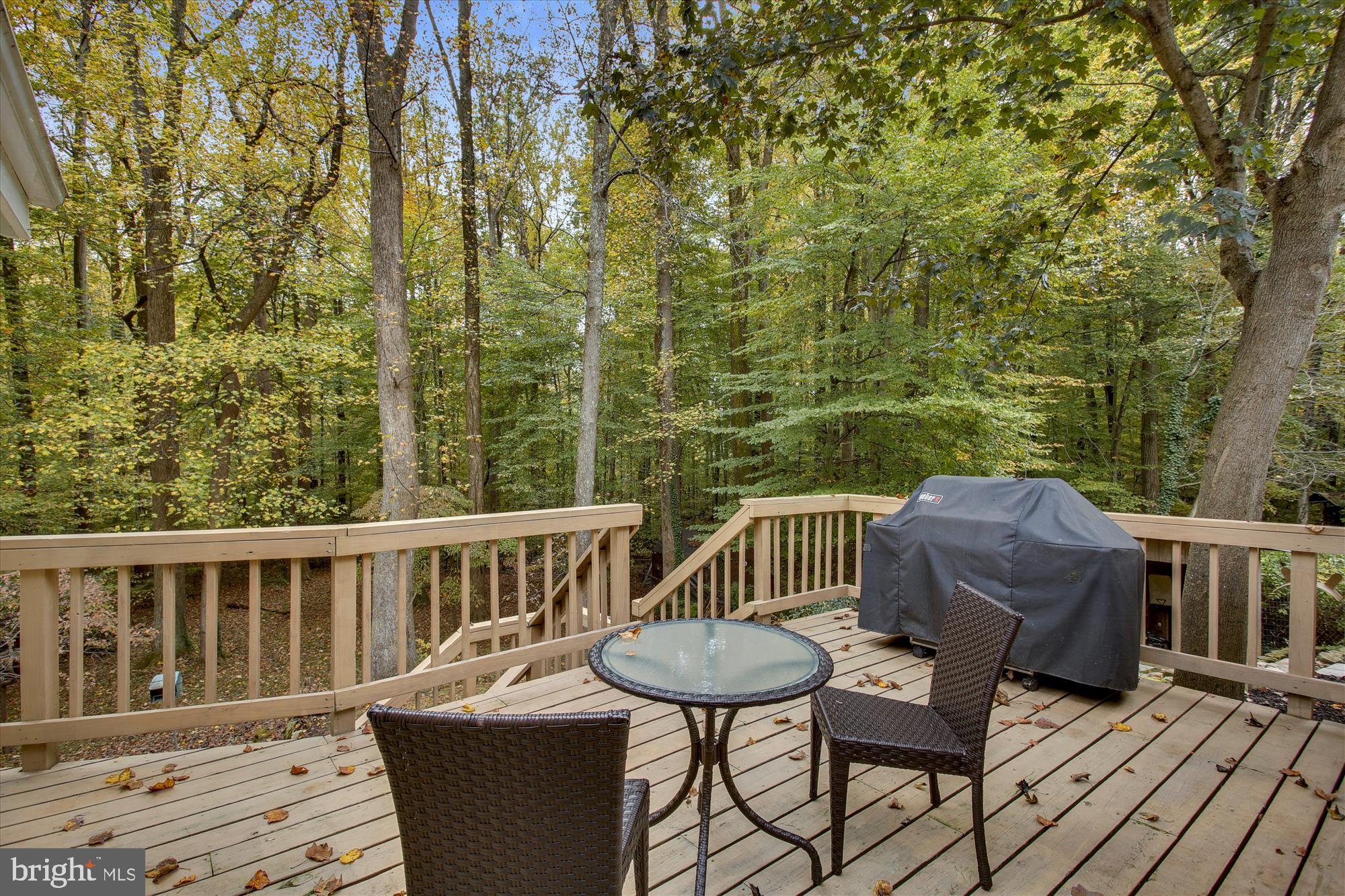 5629 Ravenel Lane Springfield, VA 22151 - Photo 7 of 74