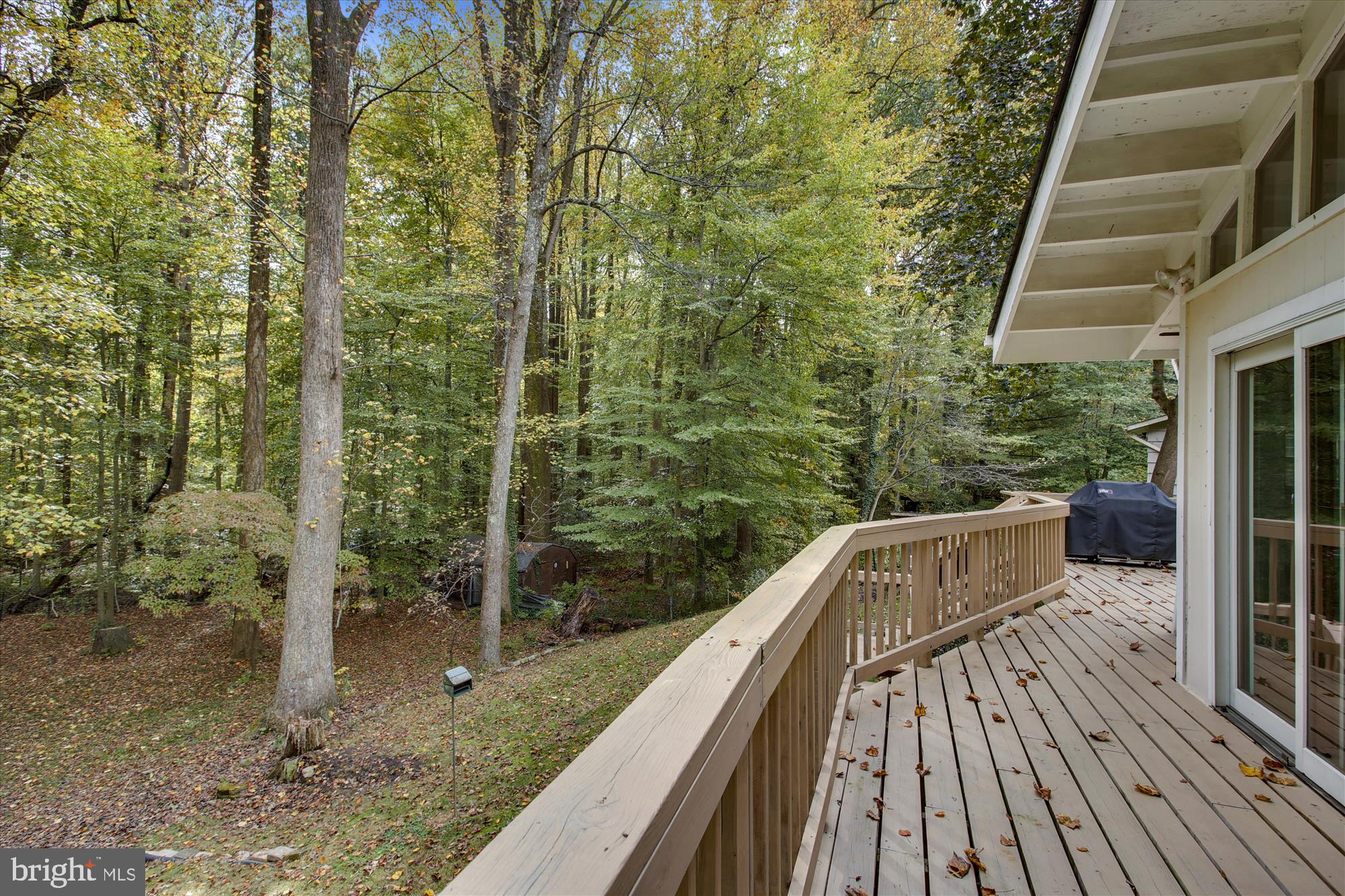5629 Ravenel Lane Springfield, VA 22151 - Photo 8 of 74