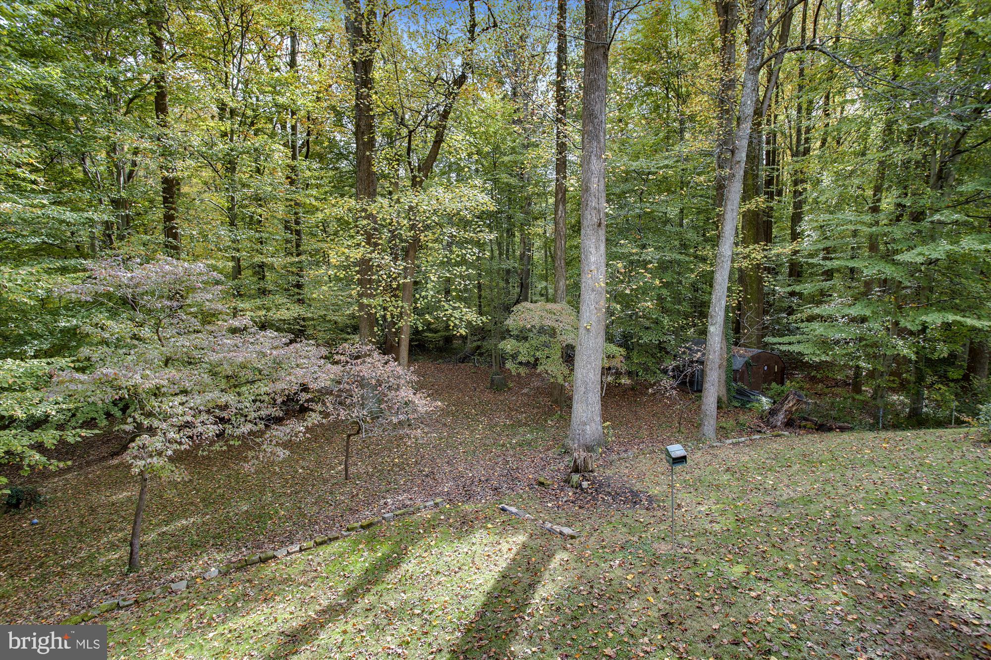 5629 Ravenel Lane Springfield, VA 22151 - Photo 9 of 74