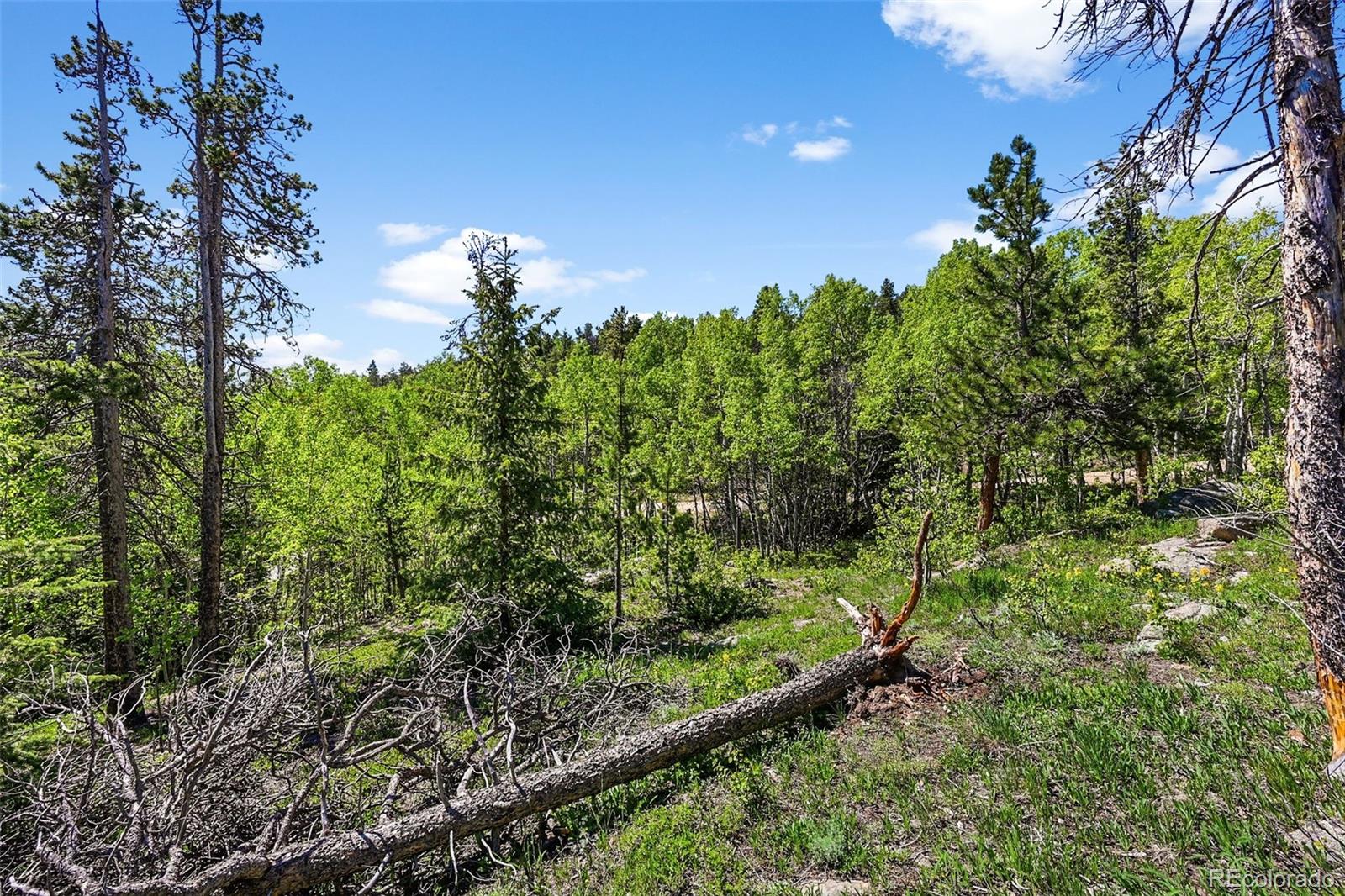 900 Rudi Lane Golden, CO 80403 - Photo 13 of 21 a backyard of a house with lots of green space