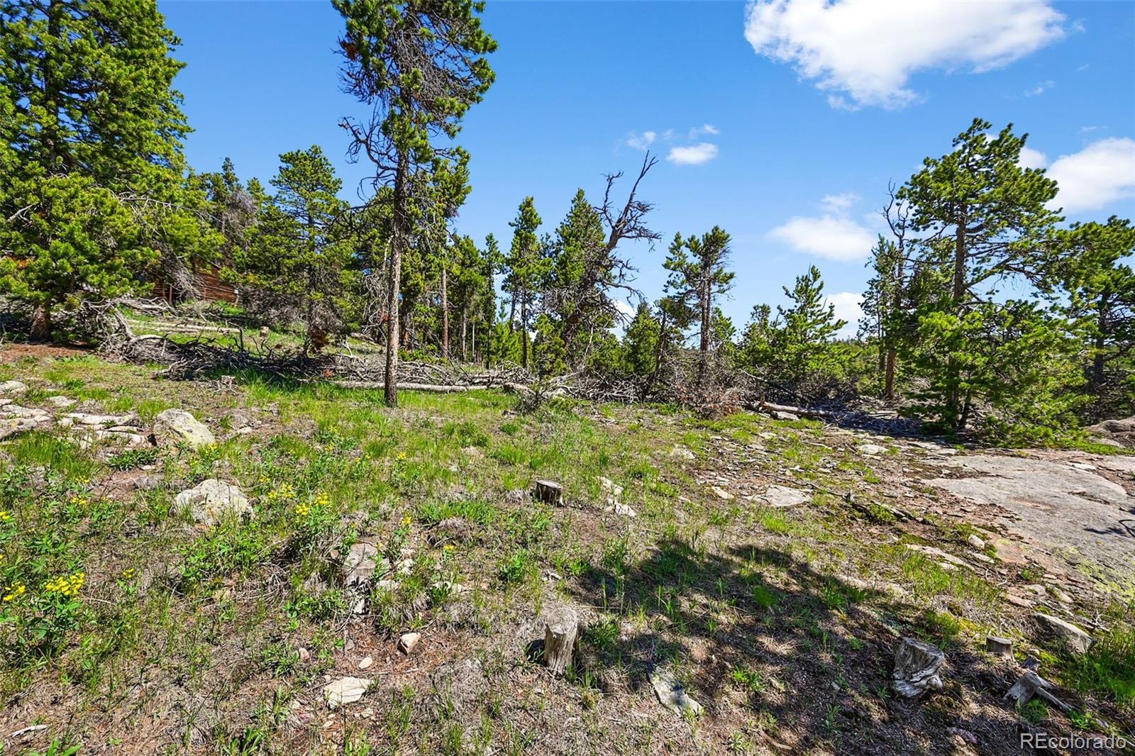 900 Rudi Lane Golden, CO 80403 - Photo 15 of 21 a backyard of a house with lots of green space