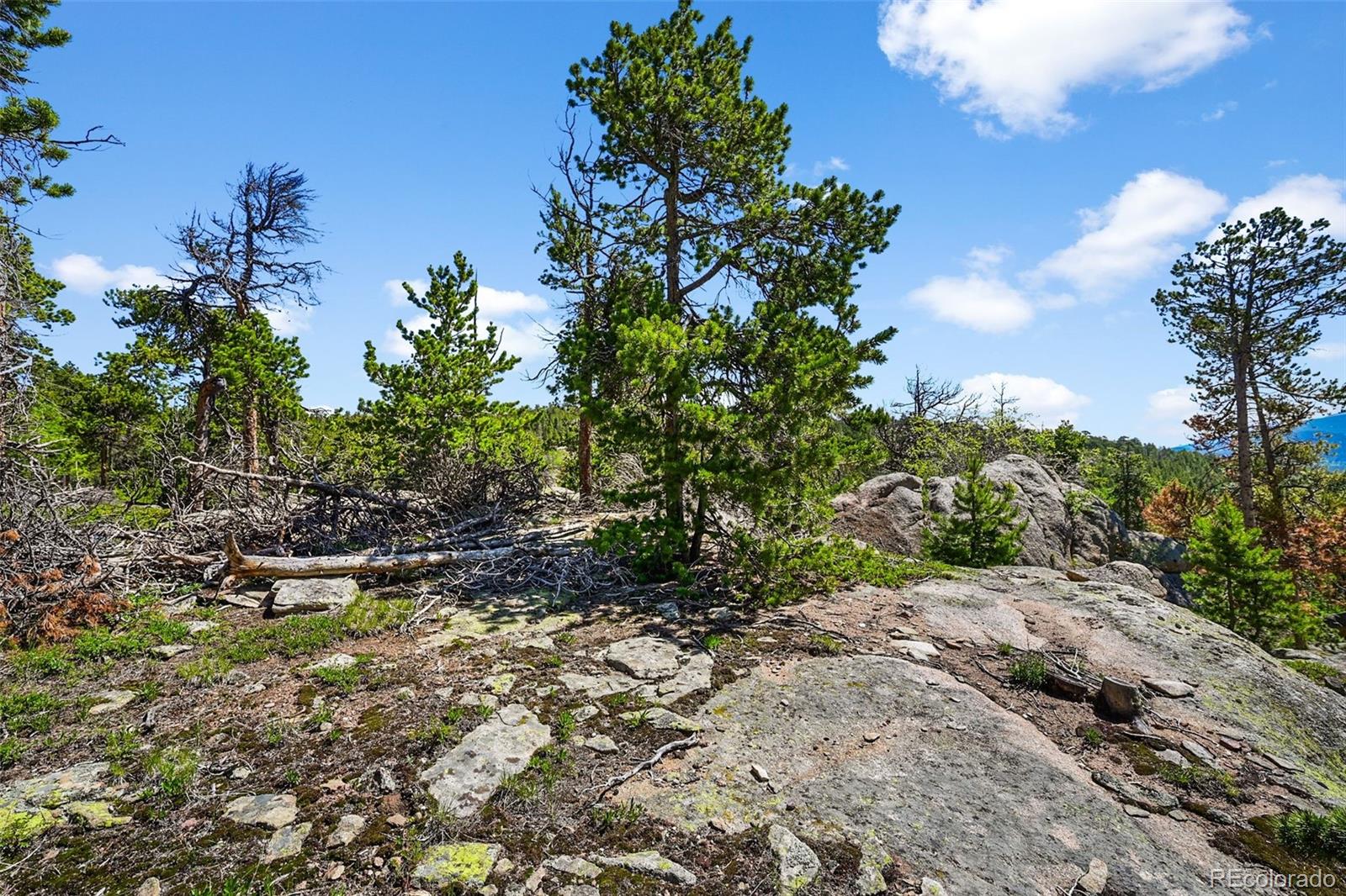 900 Rudi Lane Golden, CO 80403 - Photo 16 of 21 a backyard of a house with lots of green space