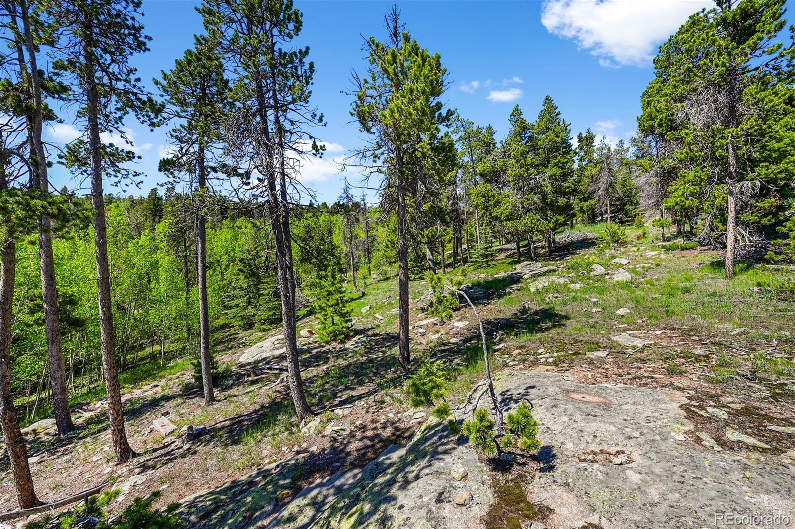 900 Rudi Lane Golden, CO 80403 - Photo 17 of 21 a view of an outdoor space