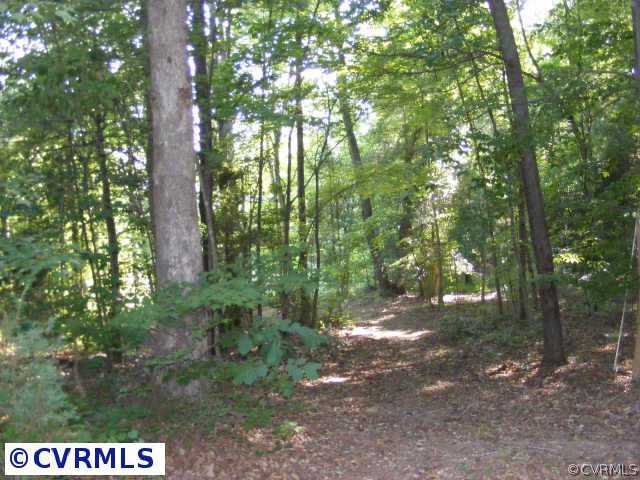 13410 Scotts Road Dewitt, VA 23840 - Photo 6 of 9 a view of a forest that has large trees