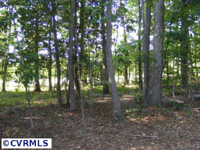 13410 Scotts Road Dewitt, VA 23840 - Photo 7 of 9 a view of a forest that has large trees