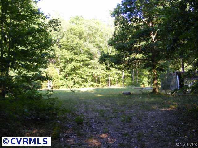 13410 Scotts Road Dewitt, VA 23840 - Photo 9 of 9 a view of yard with green space