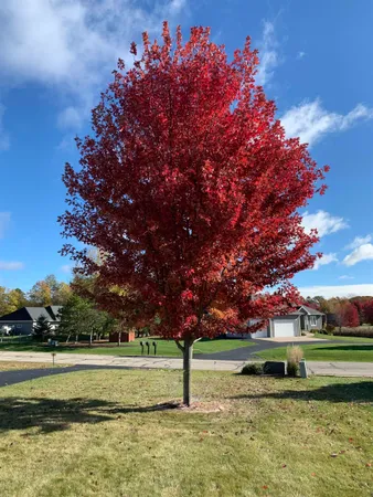 $549,900 | 3405 Hawk Ridge Trail, Green Bay, WI 54313