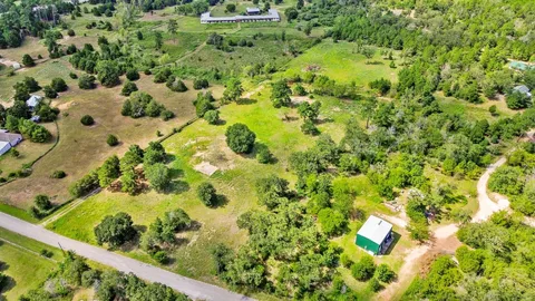 a view of a garden with a flower