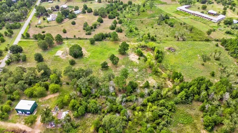 a view of a yard with plants