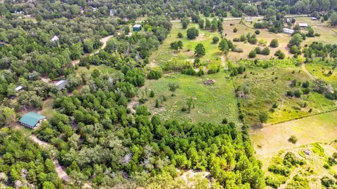 a view of a large yard with plants and large trees