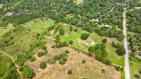 a view of a garden with plants
