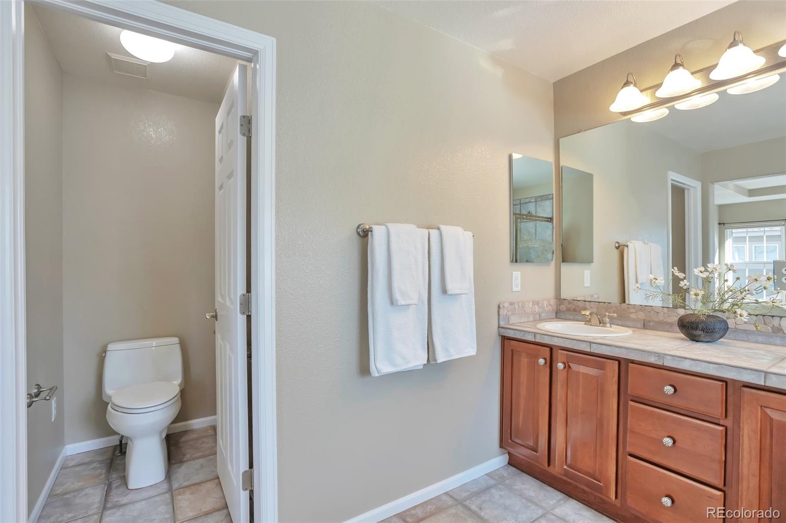 10555 Ashfield Street Highlands Ranch, CO 80126 - Photo 19 of 28