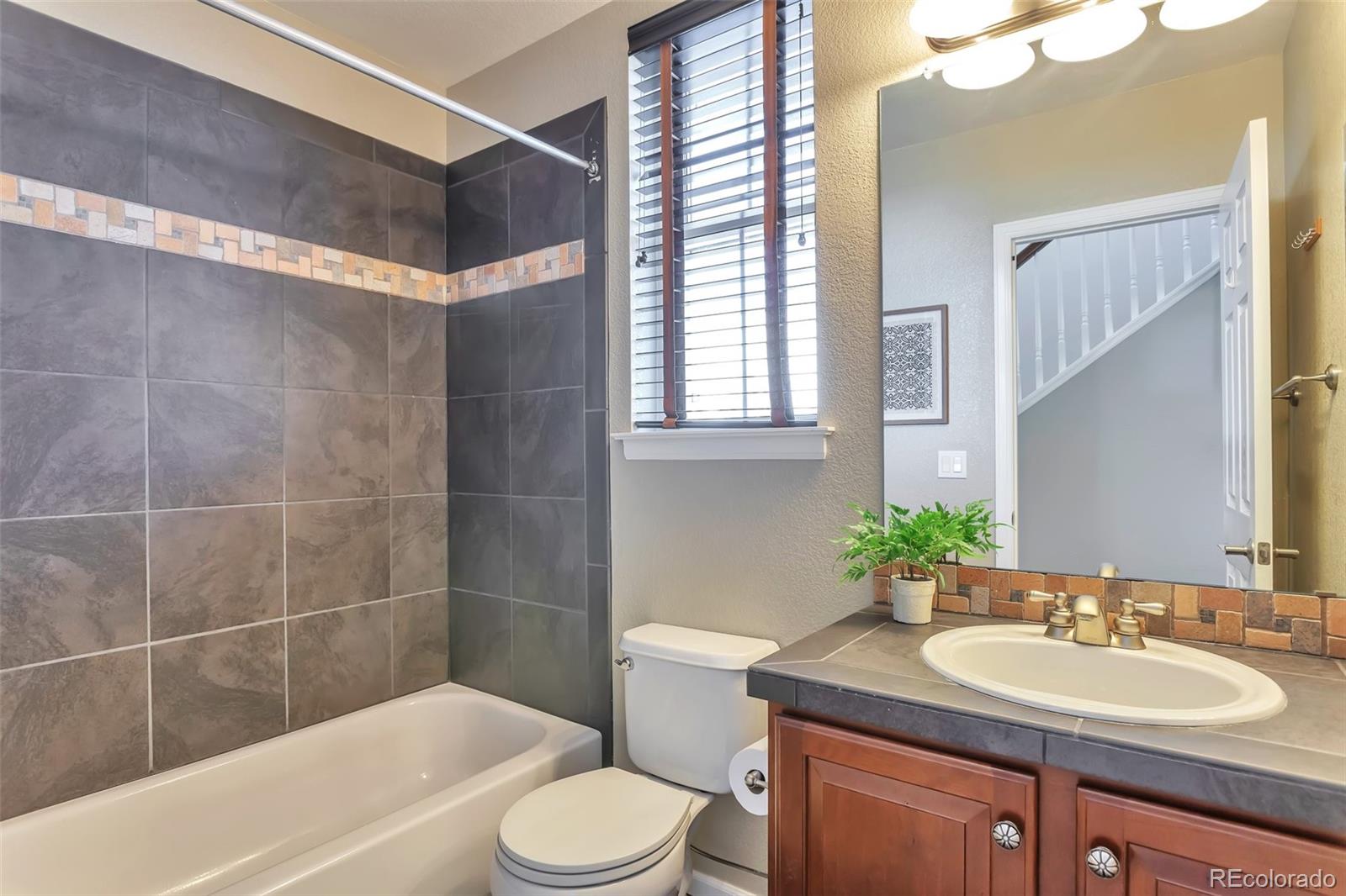10555 Ashfield Street Highlands Ranch, CO 80126 - Photo 25 of 28