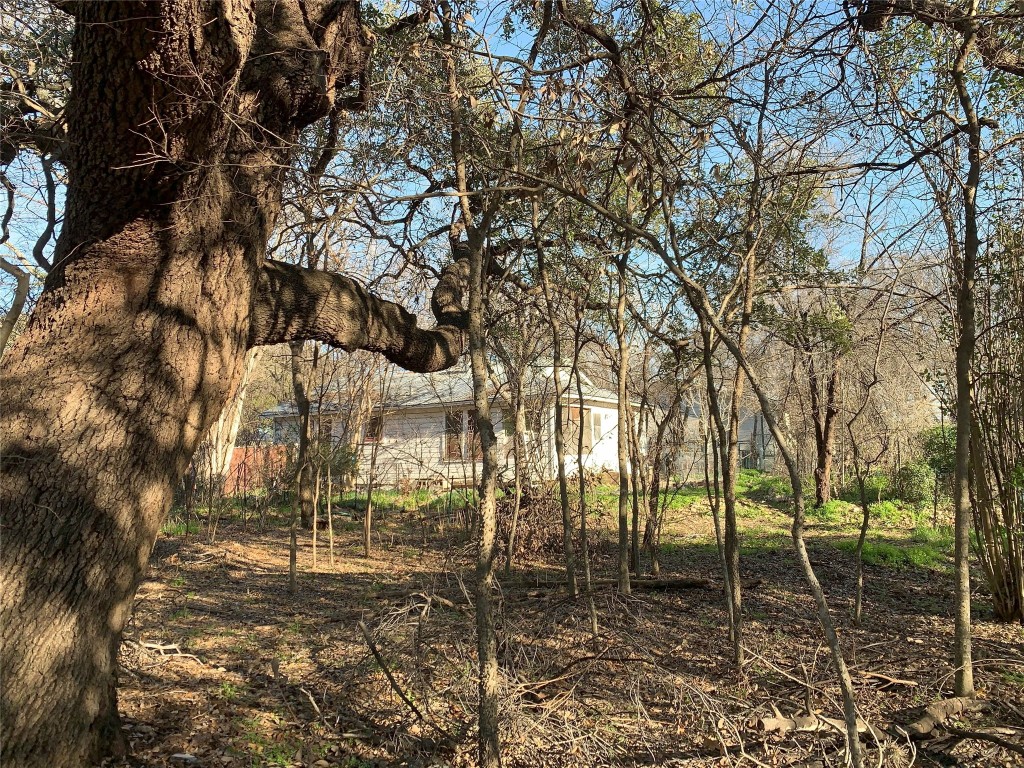 4419 Garnett Street Austin, TX 78745 - Photo 5 of 9 Other view of Large Oak Tree