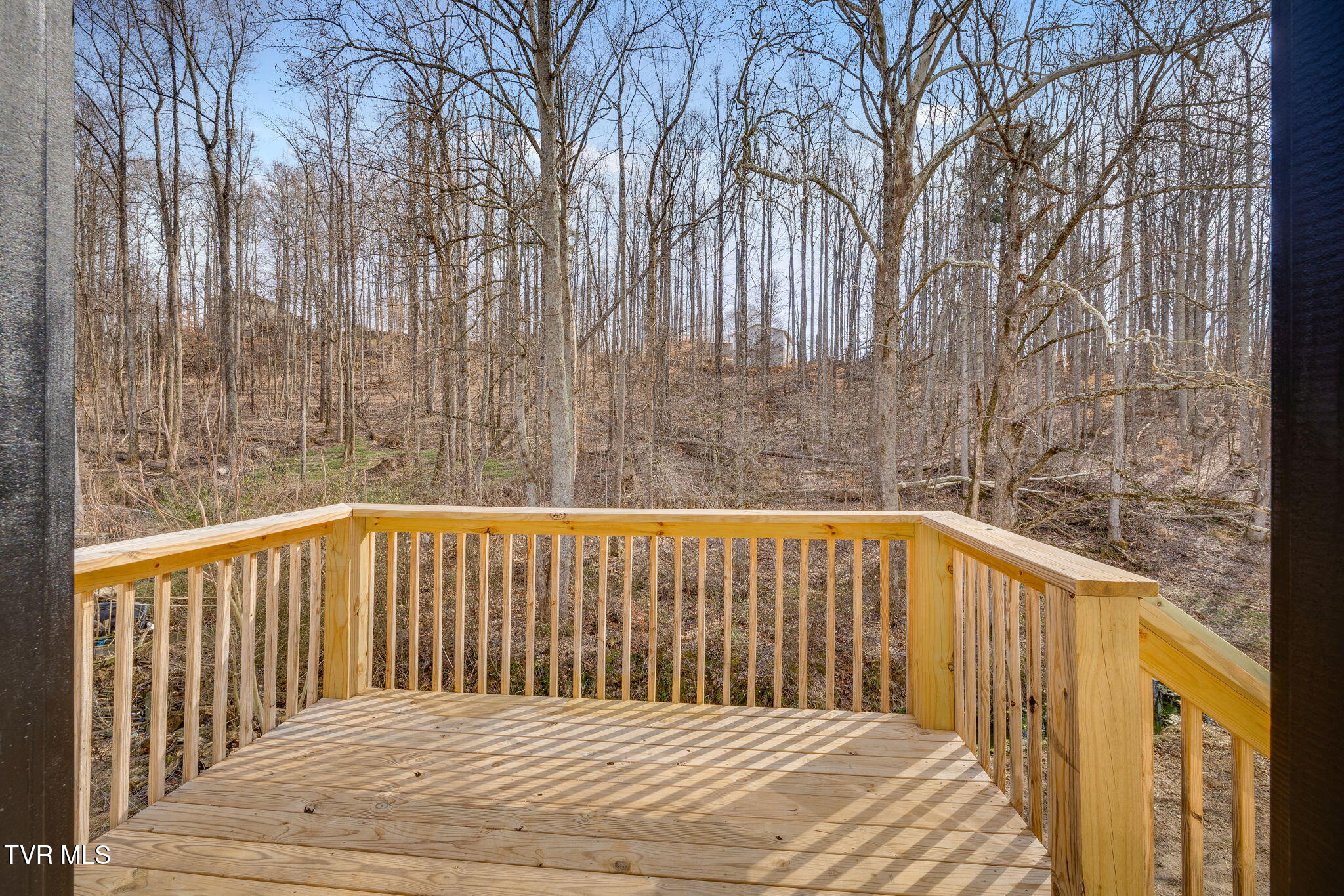 173 Hall Road Jonesborough, TN 37659 - Photo 21 of 30 033 (1)