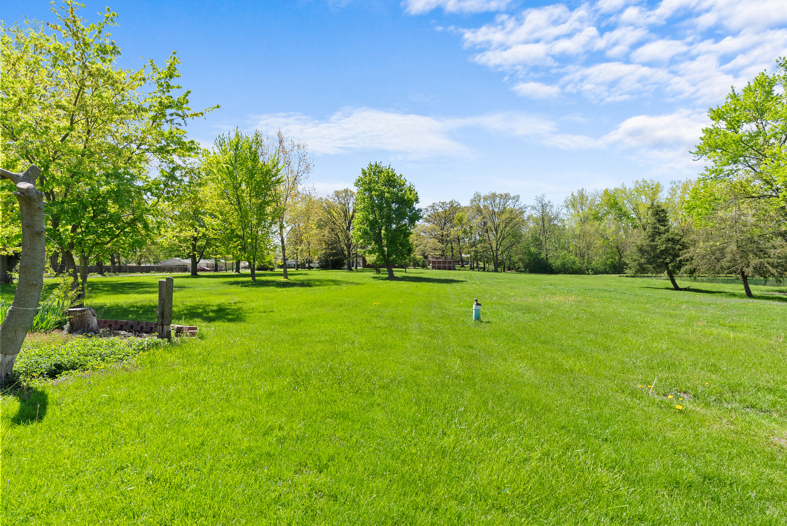 3315 East Bemes Road Crete, IL 60417 - Photo 3 of 31