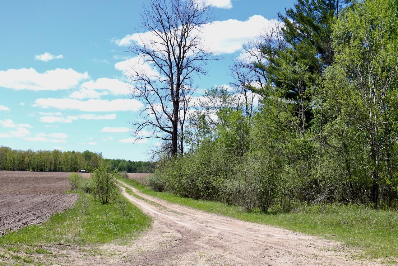 La Grant Road Alger, MI 48610 - Photo 45 of 46 Z