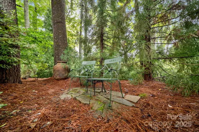 $975,000 | 36 Carver Street, Saluda, NC 28773