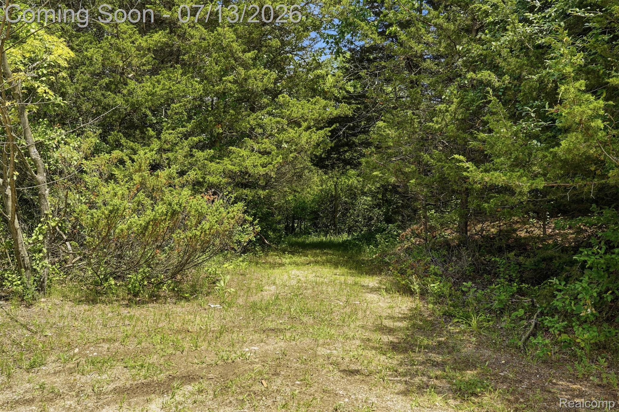 10525 Antcliff Road Brooklyn, MI 49230 - Photo 54 of 80 Entry to expansive trail system