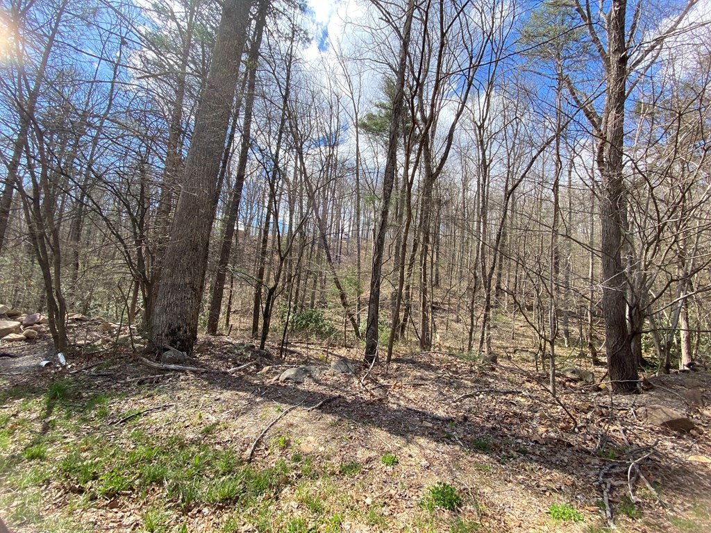 22 Alpine Drive Sevierville, TN 37876 - Photo 2 of 5