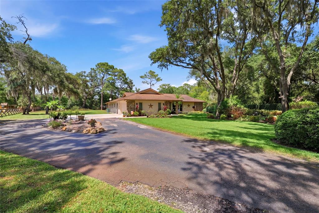 6403 Chiswick Court New Port Richey, FL 34655 - Photo 7 of 86