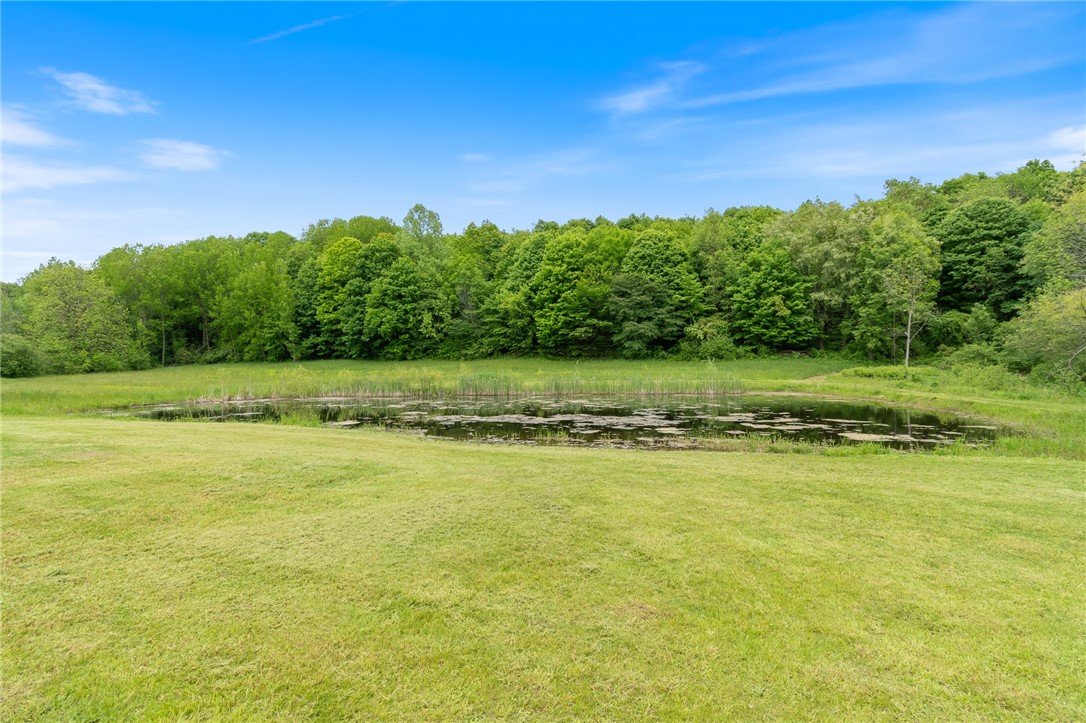 8145 Dutch Street Road Huron, NY 14590 - Photo 48 of 50 1 1/2 acre stocked pond!